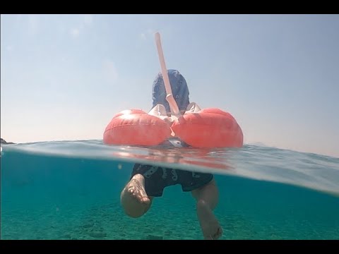 swimtrainer econegozio la formica salvagente neonato